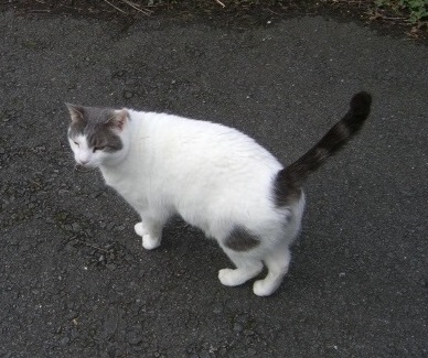 Arthur - March 2008